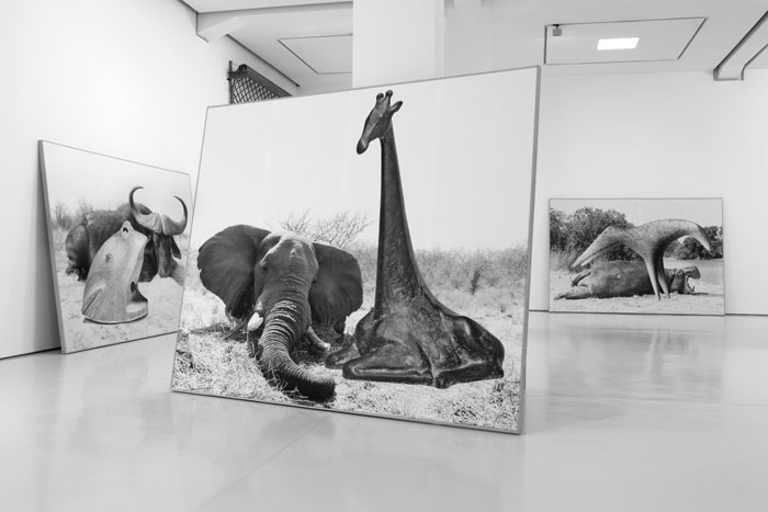 03 Jens Ullrich Tiere Display